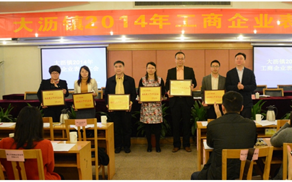 大沥镇2014年工商企业表彰大会